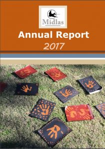 Annual Report 2017 PDF